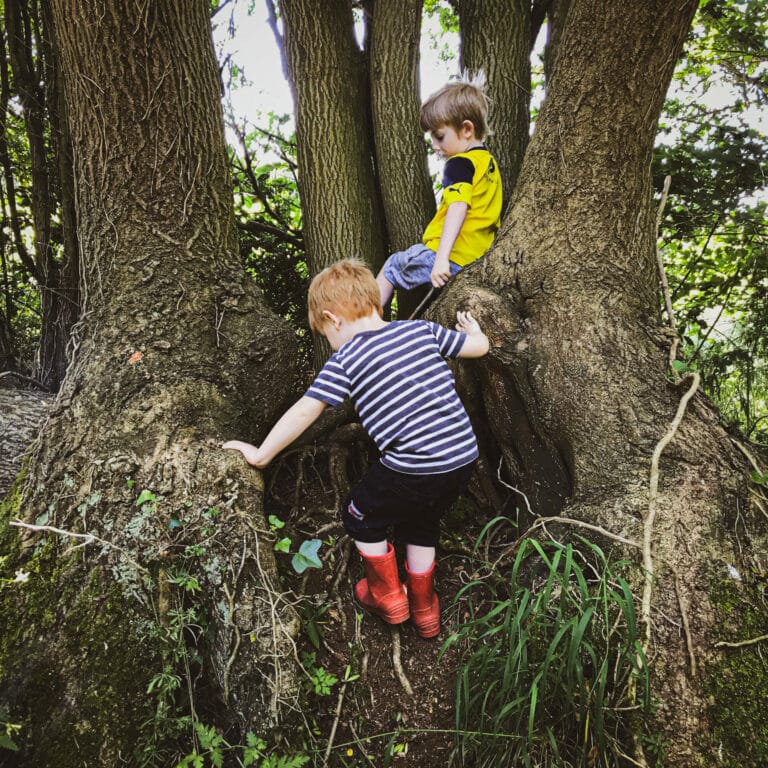 Susie Robbins gives ideas for growing resilience through play (picture of kids climbing tree)
